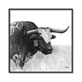 Picture of Sketched Horned Cow _GroupedProduct_Square_Canvas_Framed_