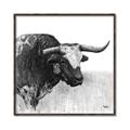 Picture of Sketched Horned Cow _GroupedProduct_Square_Canvas_Framed_