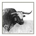 Picture of Sketched Horned Cow _GroupedProduct_Square_Canvas_Framed_