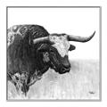 Picture of Sketched Horned Cow _GroupedProduct_Square_Canvas_Framed_