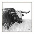 Picture of Sketched Horned Cow _GroupedProduct_Square_Canvas_Framed_