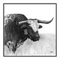 Picture of Sketched Horned Cow _GroupedProduct_Square_Canvas_Framed_