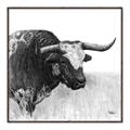 Picture of Sketched Horned Cow _GroupedProduct_Square_Canvas_Framed_