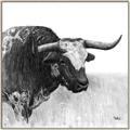 Picture of Sketched Horned Cow _GroupedProduct_Square_Canvas_Framed_
