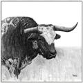 Picture of Sketched Horned Cow _GroupedProduct_Square_Canvas_Framed_