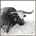 Picture of Sketched Horned Cow _GroupedProduct_Square_Canvas_Framed_