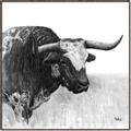 Picture of Sketched Horned Cow _GroupedProduct_Square_Canvas_Framed_