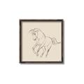 Picture of Sketched Horse I  _GroupedProduct_Square_Canvas_Framed_