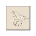 Picture of Sketched Horse I  _GroupedProduct_Square_Canvas_Framed_