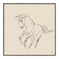 Picture of Sketched Horse I  _GroupedProduct_Square_Canvas_Framed_