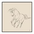Picture of Sketched Horse I  _GroupedProduct_Square_Canvas_Framed_
