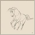 Picture of Sketched Horse I  _GroupedProduct_Square_Canvas_Framed_