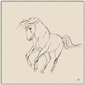 Picture of Sketched Horse I  _GroupedProduct_Square_Canvas_Framed_