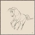 Picture of Sketched Horse I  _GroupedProduct_Square_Canvas_Framed_