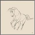 Picture of Sketched Horse I  _GroupedProduct_Square_Canvas_Framed_
