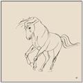 Picture of Sketched Horse I  _GroupedProduct_Square_Canvas_Framed_
