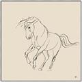 Picture of Sketched Horse I  _GroupedProduct_Square_Canvas_Framed_