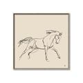 Picture of Sketched Horse II  _GroupedProduct_Square_Canvas_Framed_