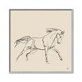 Picture of Sketched Horse II  _GroupedProduct_Square_Canvas_Framed_