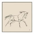 Picture of Sketched Horse II  _GroupedProduct_Square_Canvas_Framed_