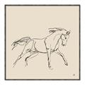 Picture of Sketched Horse II  _GroupedProduct_Square_Canvas_Framed_