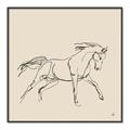 Picture of Sketched Horse II  _GroupedProduct_Square_Canvas_Framed_
