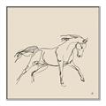Picture of Sketched Horse II  _GroupedProduct_Square_Canvas_Framed_