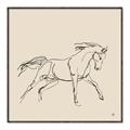 Picture of Sketched Horse II  _GroupedProduct_Square_Canvas_Framed_