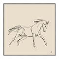 Picture of Sketched Horse II  _GroupedProduct_Square_Canvas_Framed_