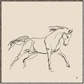 Picture of Sketched Horse II  _GroupedProduct_Square_Canvas_Framed_