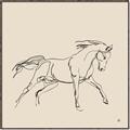 Picture of Sketched Horse II  _GroupedProduct_Square_Canvas_Framed_