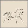 Picture of Sketched Horse II  _GroupedProduct_Square_Canvas_Framed_