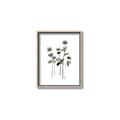 Picture of Black Botanical I  _GroupedProduct_Rectangle_Portrait_Canvas_Framed_