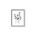Picture of Black Botanical I  _GroupedProduct_Rectangle_Portrait_Canvas_Framed_