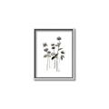 Picture of Black Botanical I  _GroupedProduct_Rectangle_Portrait_Canvas_Framed_