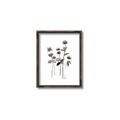 Picture of Black Botanical I  _GroupedProduct_Rectangle_Portrait_Canvas_Framed_