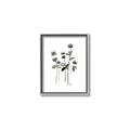Picture of Black Botanical I  _GroupedProduct_Rectangle_Portrait_Canvas_Framed_