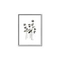 Picture of Black Botanical I  _GroupedProduct_Rectangle_Portrait_Canvas_Framed_