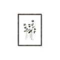 Picture of Black Botanical I  _GroupedProduct_Rectangle_Portrait_Canvas_Framed_