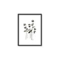 Picture of Black Botanical I  _GroupedProduct_Rectangle_Portrait_Canvas_Framed_
