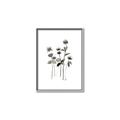 Picture of Black Botanical I  _GroupedProduct_Rectangle_Portrait_Canvas_Framed_