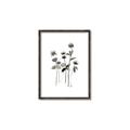 Picture of Black Botanical I  _GroupedProduct_Rectangle_Portrait_Canvas_Framed_