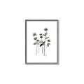 Picture of Black Botanical I  _GroupedProduct_Rectangle_Portrait_Canvas_Framed_
