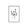 Picture of Black Botanical I  _GroupedProduct_Rectangle_Portrait_Canvas_Framed_