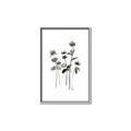 Picture of Black Botanical I  _GroupedProduct_Rectangle_Portrait_Canvas_Framed_