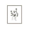 Picture of Black Botanical I  _GroupedProduct_Rectangle_Portrait_Canvas_Framed_