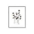 Picture of Black Botanical I  _GroupedProduct_Rectangle_Portrait_Canvas_Framed_