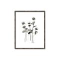 Picture of Black Botanical I  _GroupedProduct_Rectangle_Portrait_Canvas_Framed_