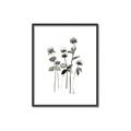 Picture of Black Botanical I  _GroupedProduct_Rectangle_Portrait_Canvas_Framed_