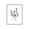 Picture of Black Botanical I  _GroupedProduct_Rectangle_Portrait_Canvas_Framed_